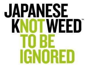 not to be ignored