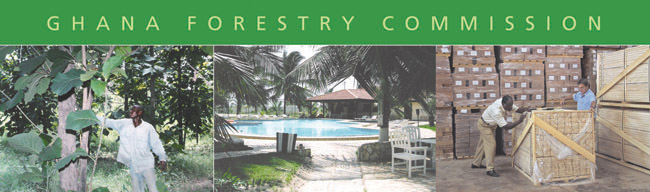 Construction National Housing Ghana_Forestry_pic Construction National Housing Ghana_Forestry_pic