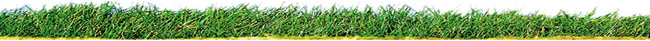 Construction National Housing Grasslands Grass image Construction National Housing Grasslands Grass image